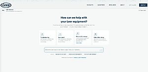 Agentic AI for websites NYC